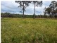 21 Allens Avenue, Wairewa VIC 3887