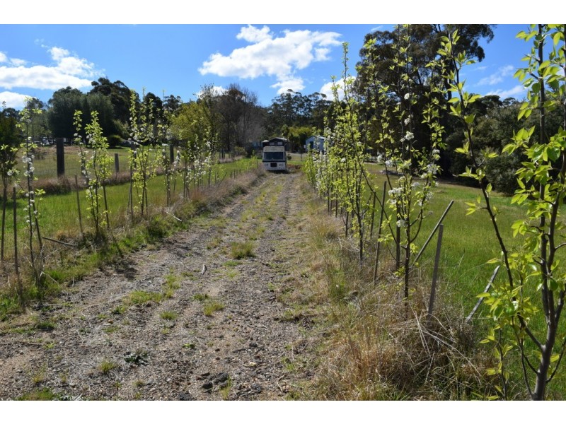 8 GORGE ROAD, Nowa Nowa VIC 3887