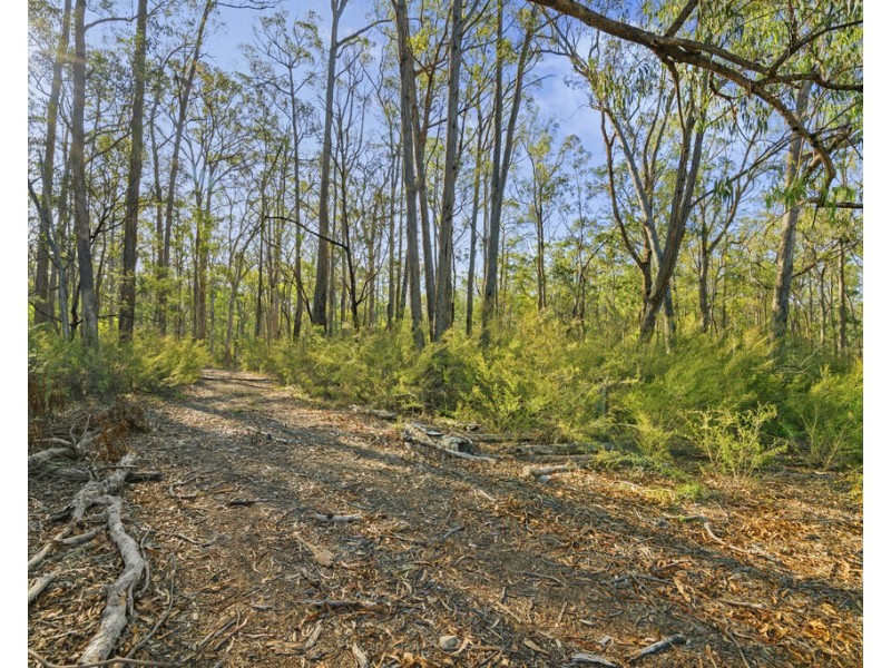 92 Omaras Road, Bruthen VIC 3885