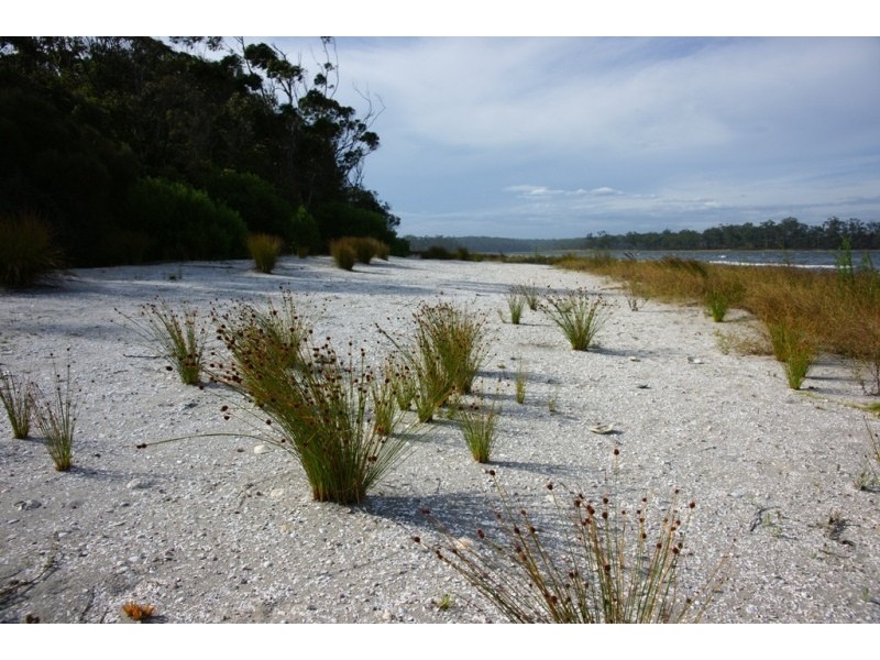 30 Hendries Lane, Toorloo Arm VIC 3909