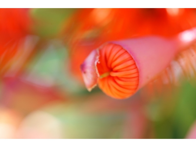 30 Hendries Lane, Toorloo Arm VIC 3909