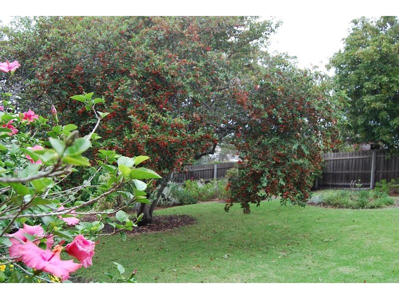 138 Myer Street, Lakes Entrance VIC 3909