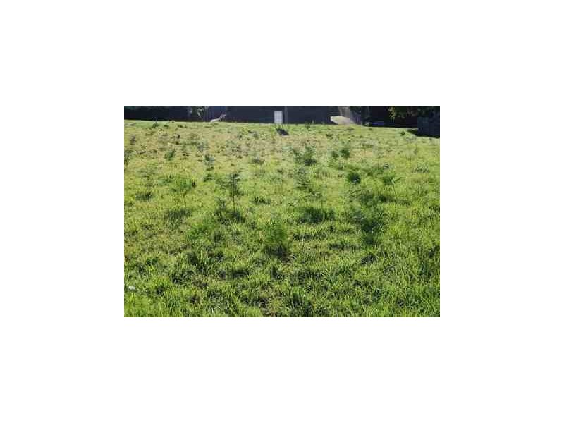 11 Abalone Avenue, Lakes Entrance VIC 3909