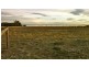Lot 7 246 Reynolds Road, Metung VIC 3904