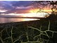Lot 7 246 Reynolds Road, Metung VIC 3904