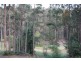 Lot 4 Veldens Road, Toorloo Arm VIC 3909