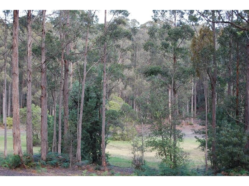 Lot 4 Veldens Road, Toorloo Arm VIC 3909