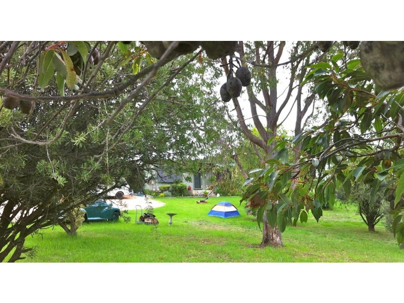 75 Park Road, Metung VIC 3904