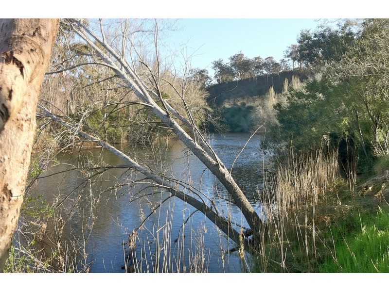 60 Johnsons Road, Bumberrah VIC 3902