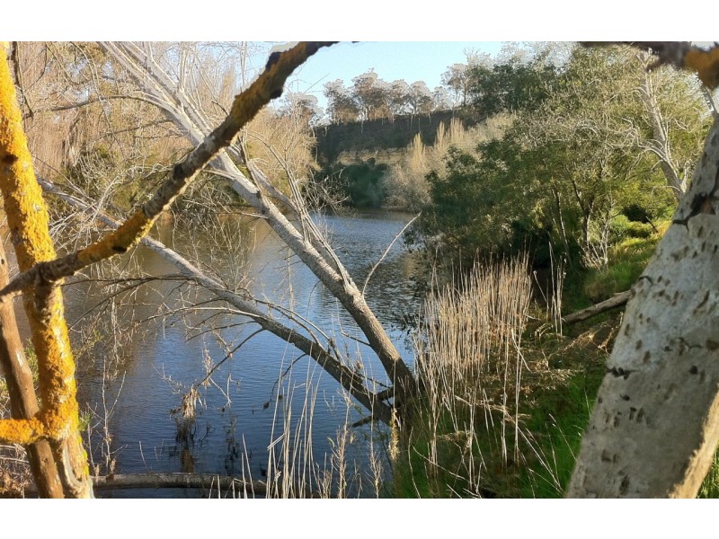 60 Johnsons Road, Bumberrah VIC 3902