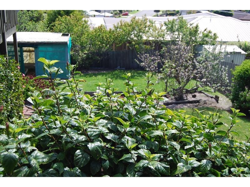 25 Abalone Avenue, Lakes Entrance VIC 3909