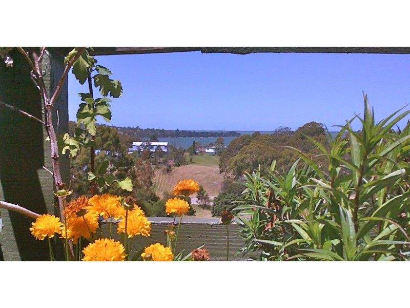 49 Park Road, Metung VIC 3904