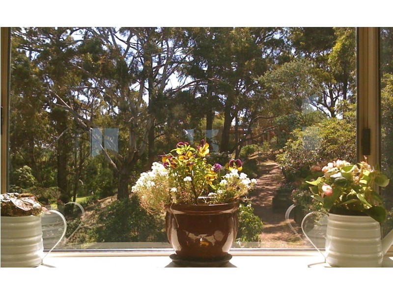 49 Park Road, Metung VIC 3904