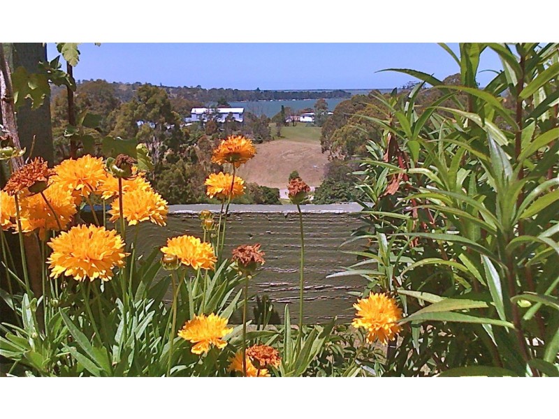 49 Park Road, Metung VIC 3904