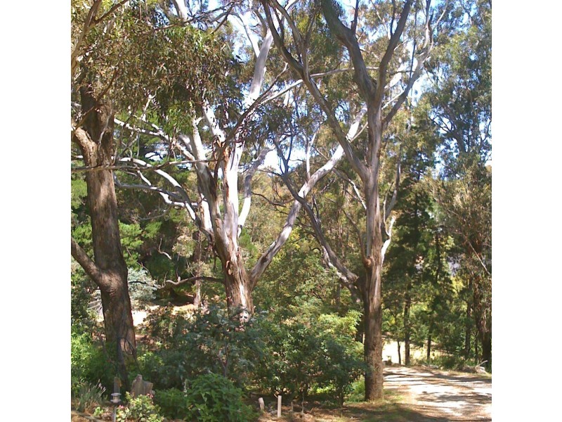 49 Park Road, Metung VIC 3904