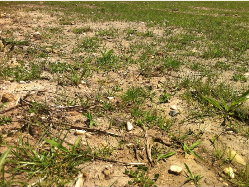 CP 358263 Sybil St, Metung VIC 3904