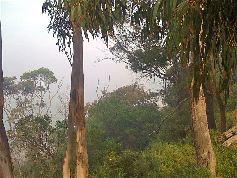 14 Bells Track, Nungurner VIC 3909