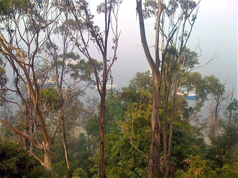 14 Bells Track, Nungurner VIC 3909