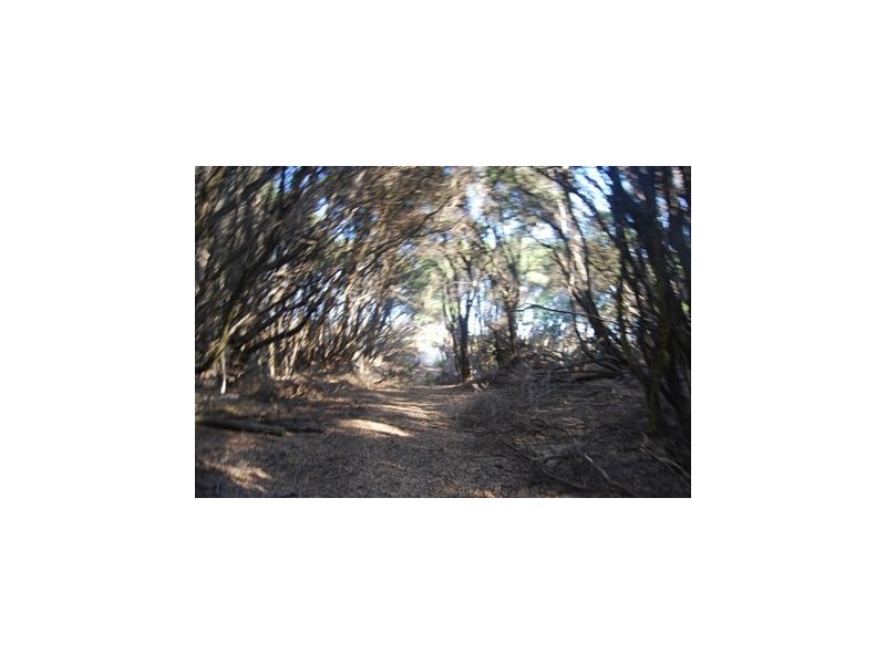 TP560911 Barrier Landing, Lakes Entrance VIC 3909