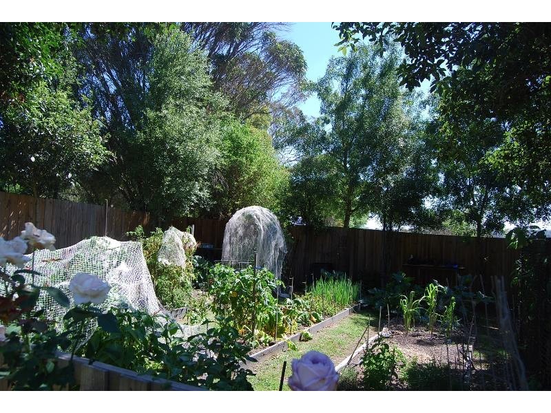 301 Tambo Upper Road, Swan Reach VIC 3903