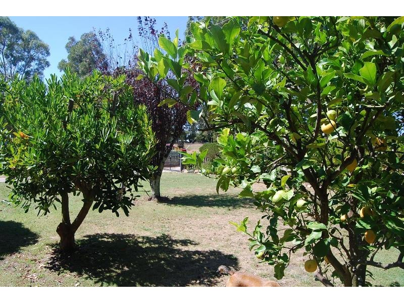 301 Tambo Upper Road, Swan Reach VIC 3903