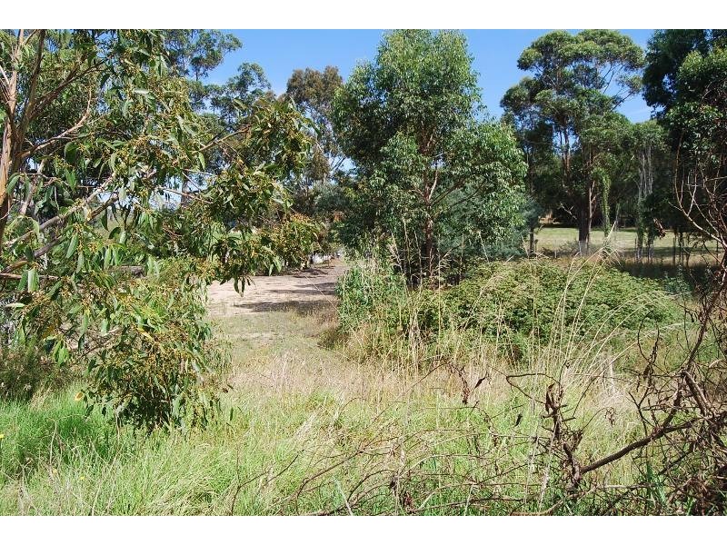 29 Nowa Nowa Old Buchan Road, Nowa Nowa VIC 3887