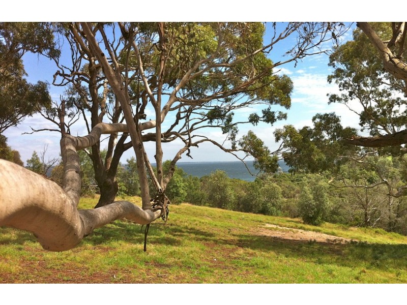 Lot 1 Grevillia Avenue, Metung VIC 3904