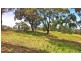 Lot 1 Grevillia Avenue, Metung VIC 3904