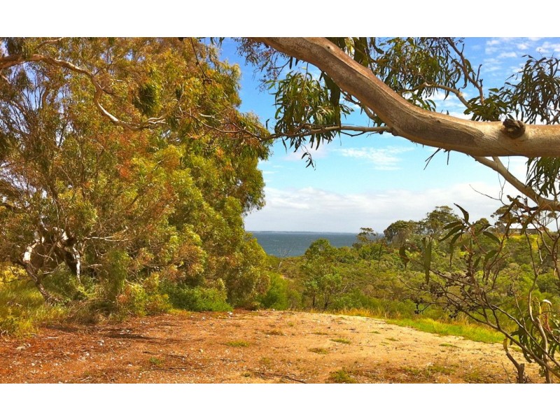 Lot 1 Grevillia Avenue, Metung VIC 3904