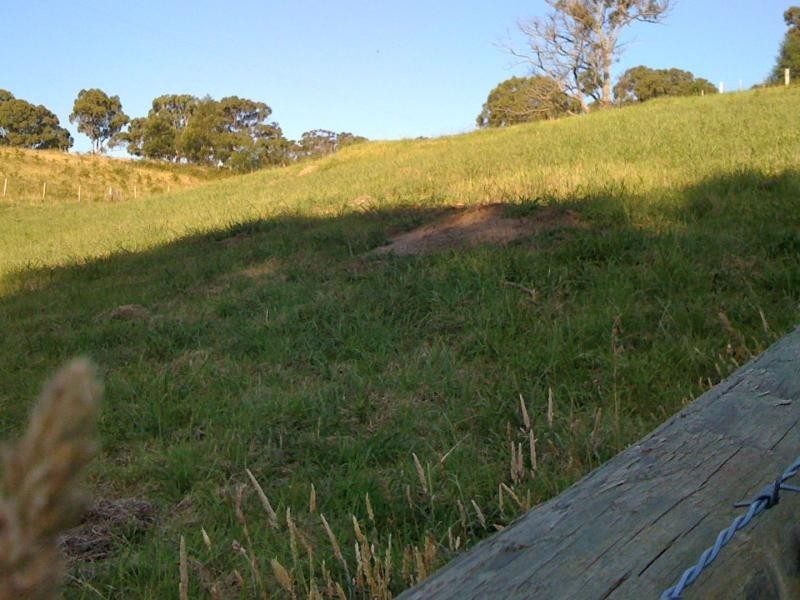 38B Gilsenan  Drive, Metung VIC 3904