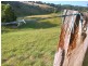 38B Gilsenan  Drive, Metung VIC 3904