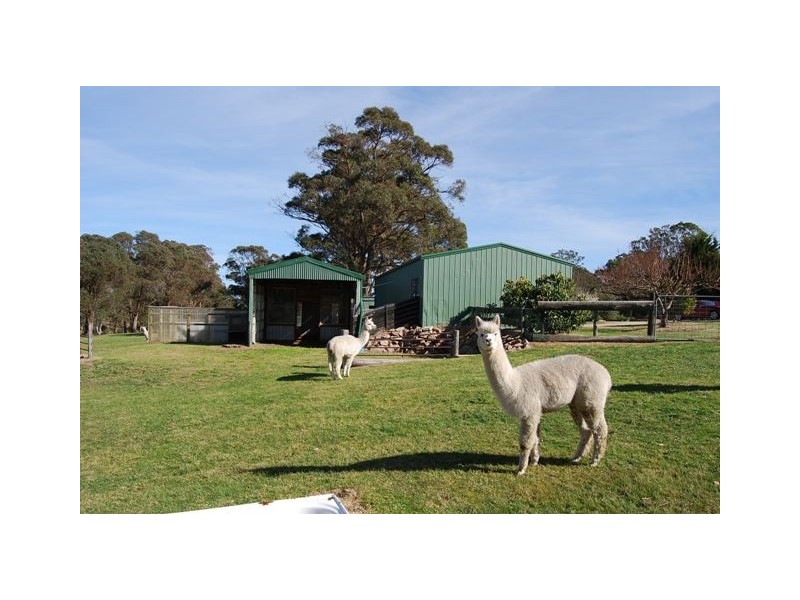 165 Rosherville Road, Swan Reach VIC 3903