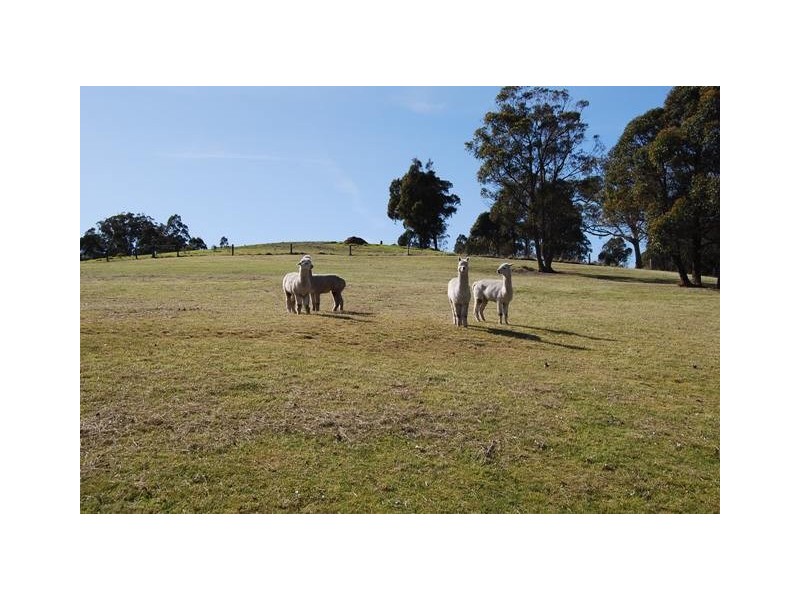 165 Rosherville Road, Swan Reach VIC 3903