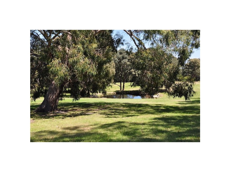 165 Rosherville Road, Metung VIC 3904