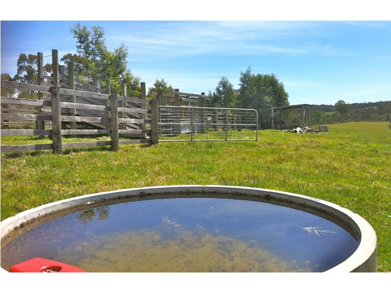 192 Harmans Road, Johnsonville VIC 3902