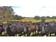 192 Harmans Road, Johnsonville VIC 3902