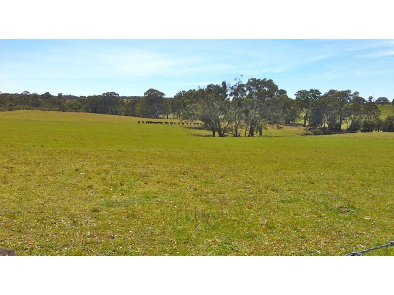 192 Harmans Road, Johnsonville VIC 3902