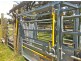 192 Harmans Road, Johnsonville VIC 3902