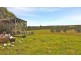192 Harmans Road, Johnsonville VIC 3902