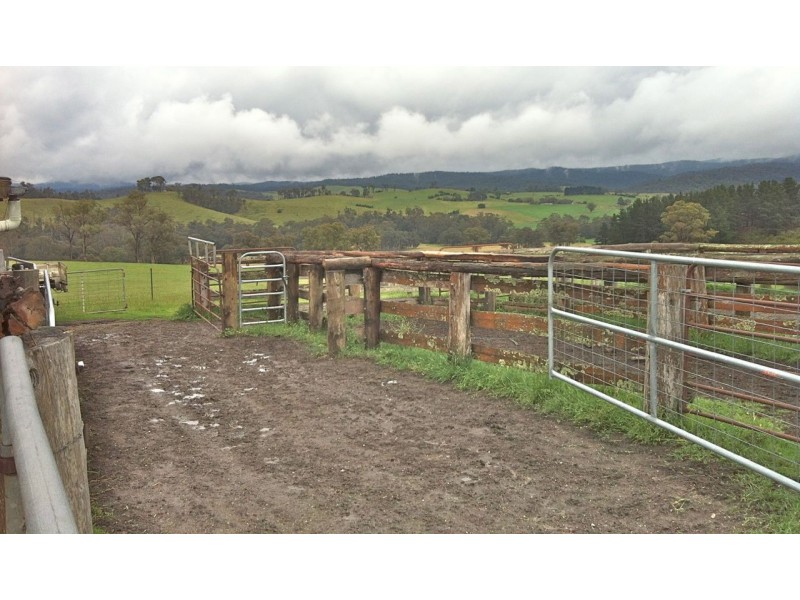 951 Deptford Road, Clifton Creek VIC 3875