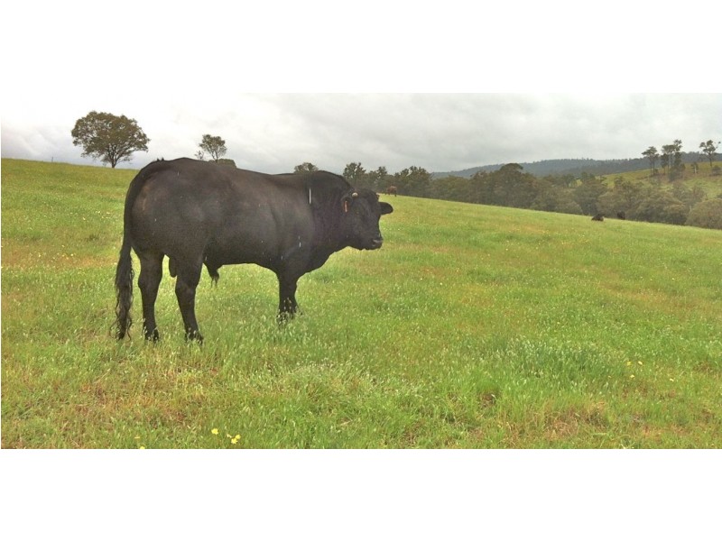 951 Deptford Road, Clifton Creek VIC 3875