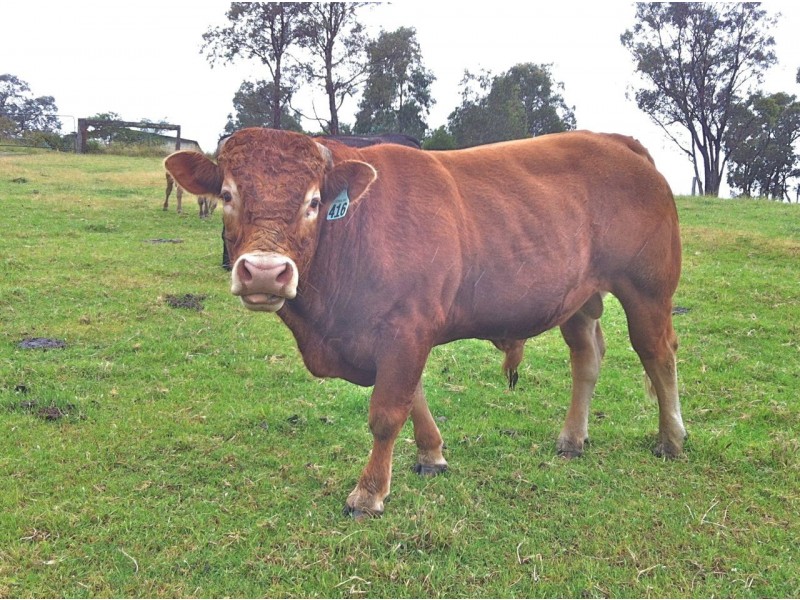 951 Deptford Road, Clifton Creek VIC 3875