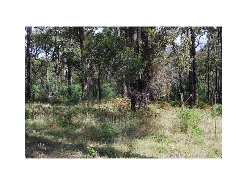 Lot 2/24 Mill Point Road, Toorloo Arm VIC 3909