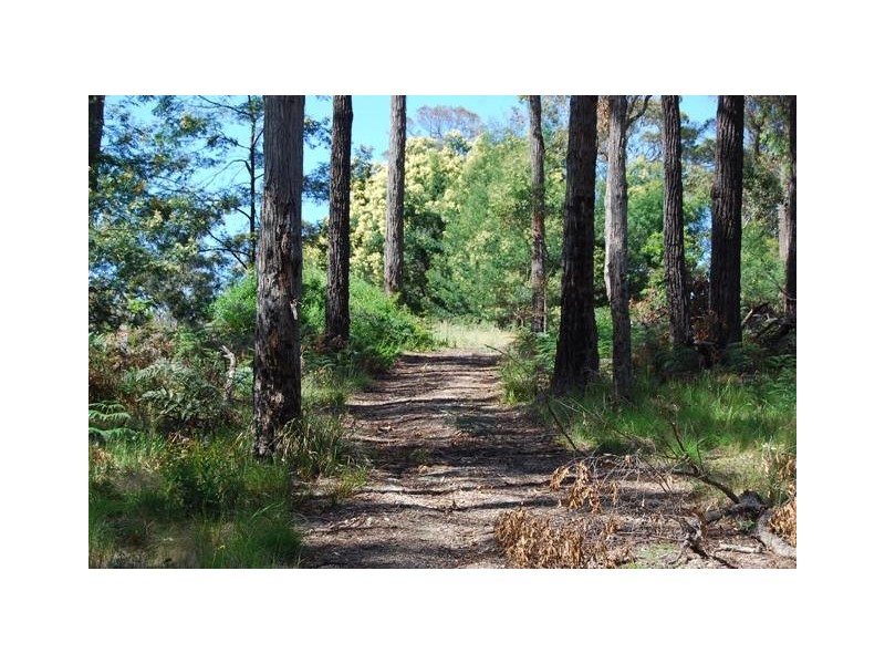 Lot 2/24 Mill Point Road, Toorloo Arm VIC 3909