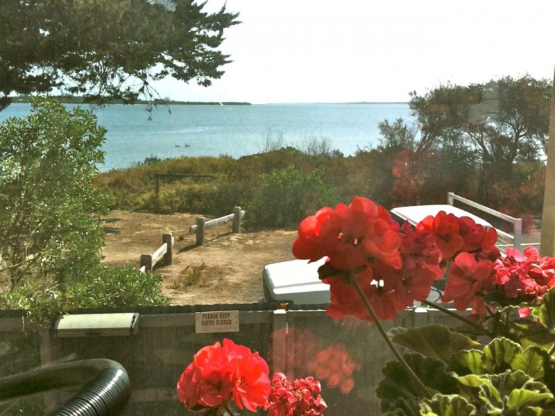 4, 51 Metung Road, Metung VIC 3904