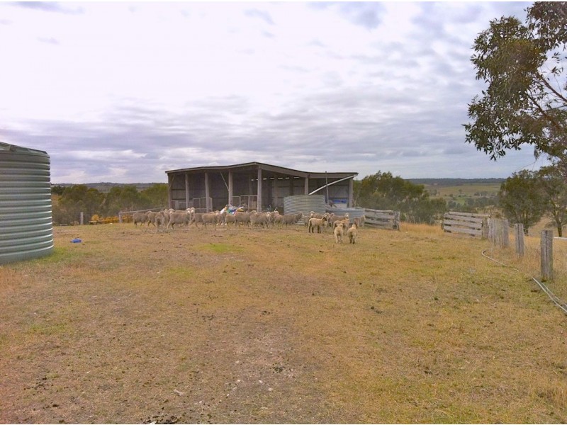 Tambo Upper VIC 3885