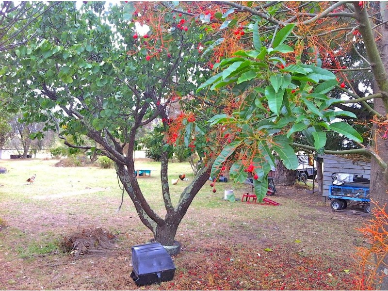 Tambo Upper VIC 3885