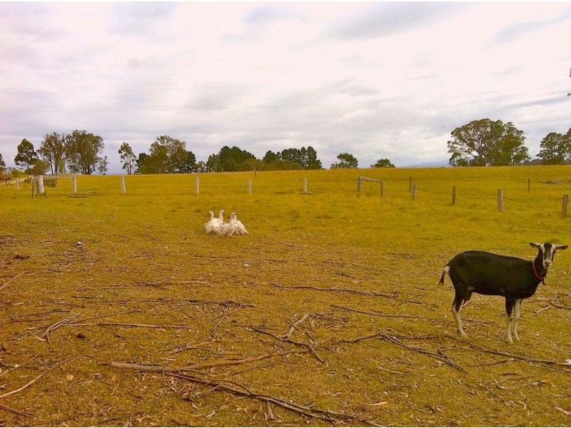 Tambo Upper VIC 3885