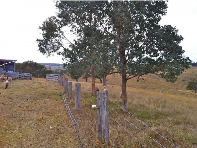 Tambo Upper VIC 3885