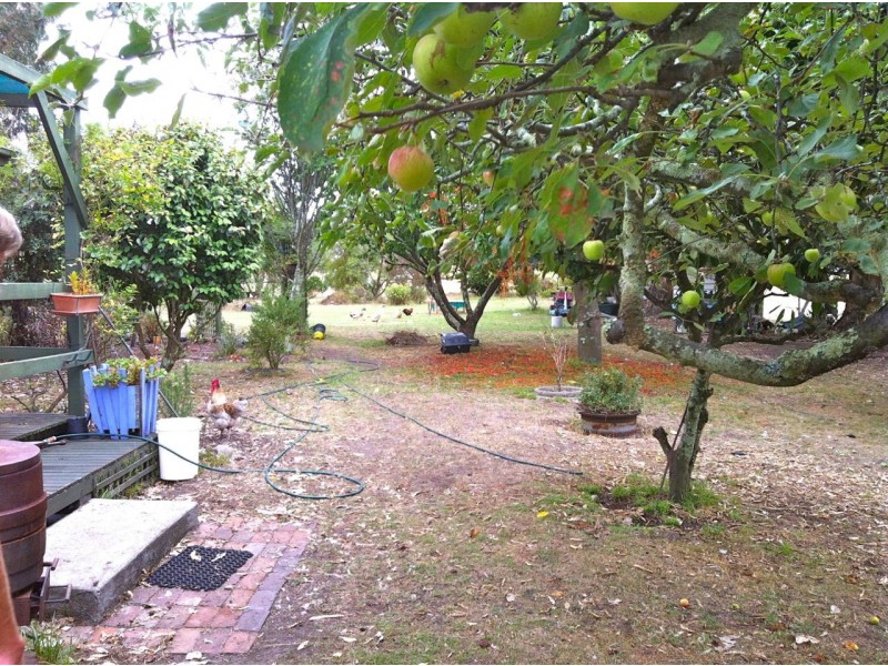 Tambo Upper VIC 3885